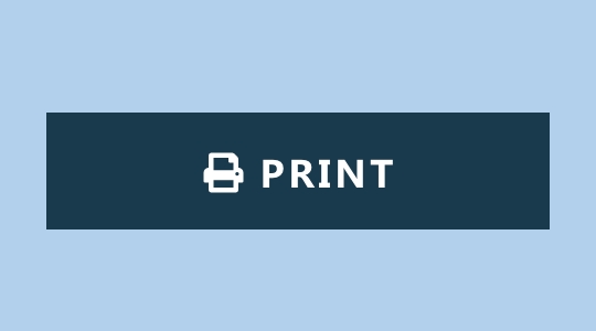 Print Page Button icon
