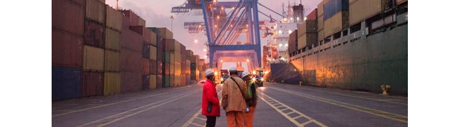 State of Illinois Trade and Investment Statistics - Export