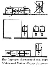 proper and improper placement of traps