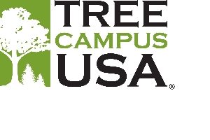 treecampususa