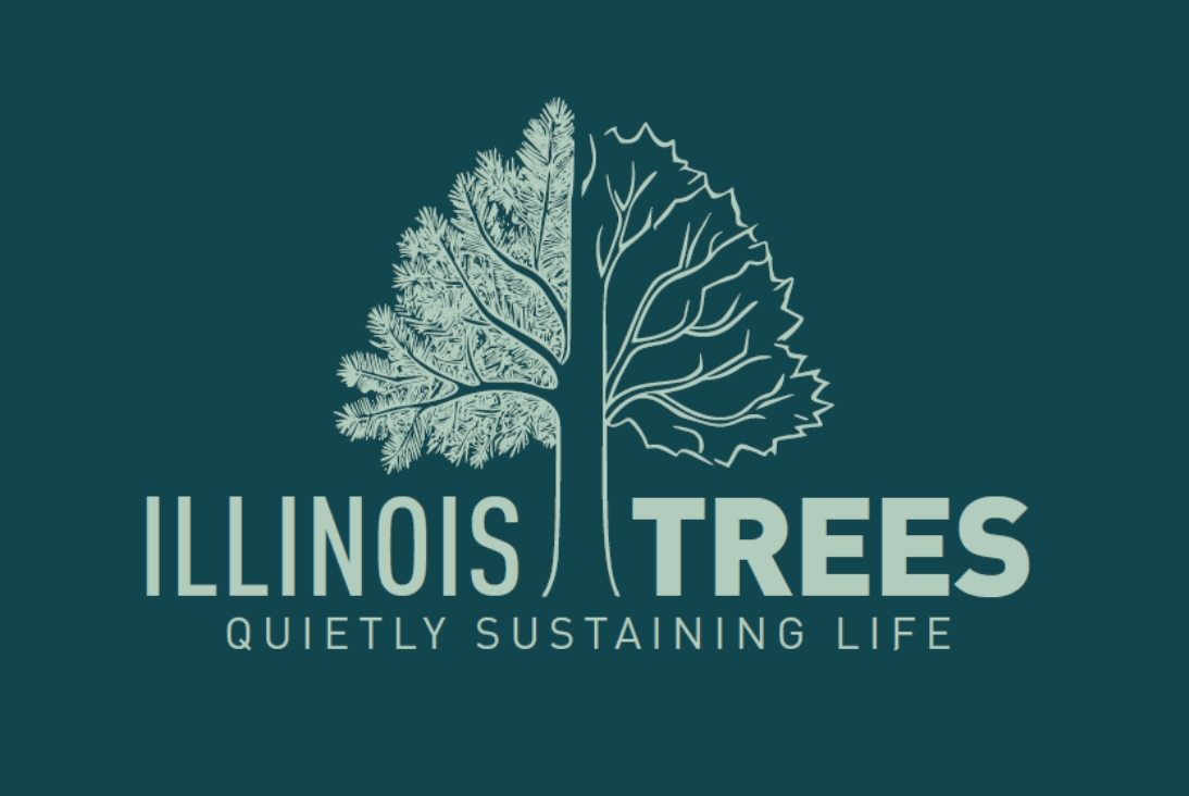 Illinois Trees - quietly sustaining life logo
