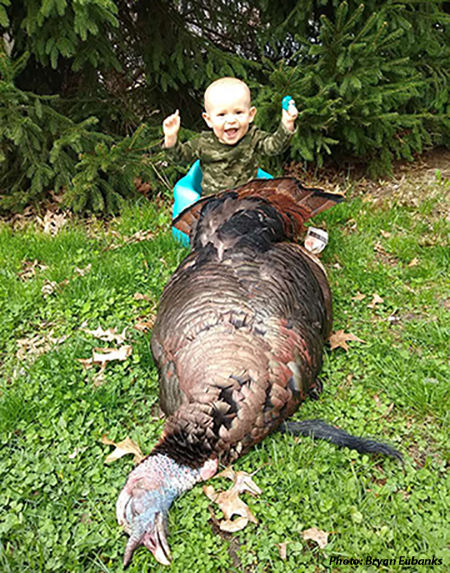 Turkey, Illinois Extension