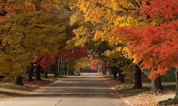 UCMcHenryStreetFallColor360x600