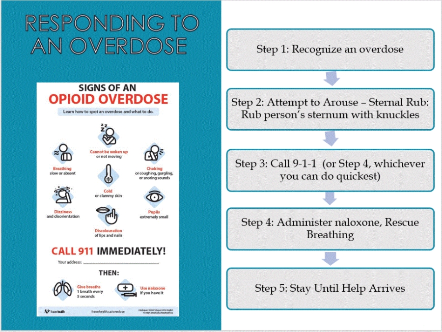 Opioid Overdose and Naloxone Training