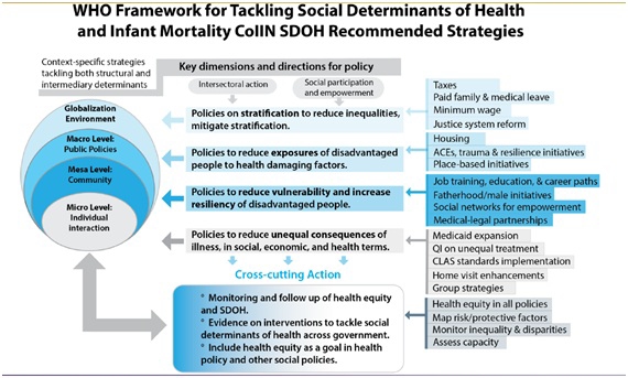WHO framework for tackling social determinants of health and infant mortality CoIIN SDOH recommended strategies