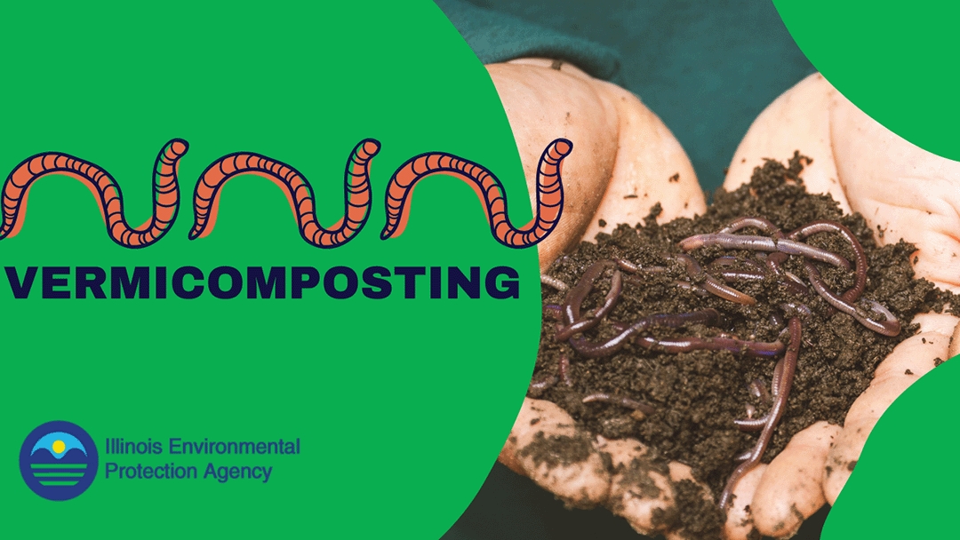 Vermicomposting Thumbnail