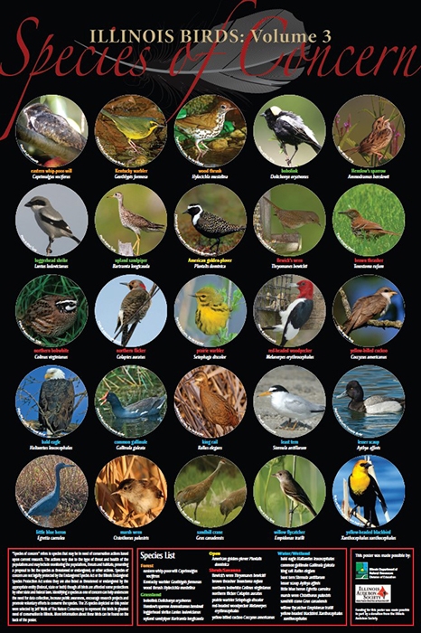 Species of Concern poster front