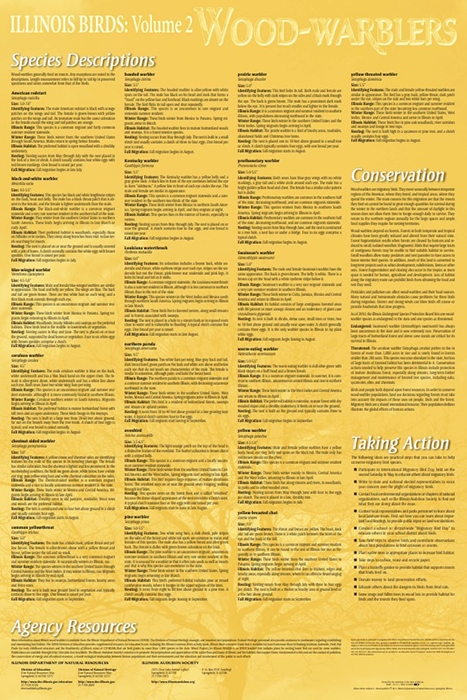 wood-warbler poster back