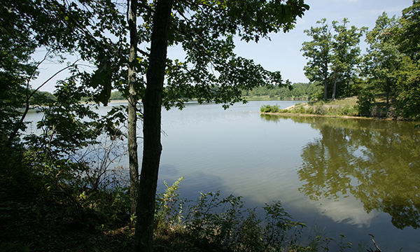 Wildlife Areas near Nashville, IL