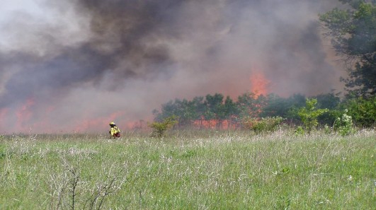 WildfireGrassfield