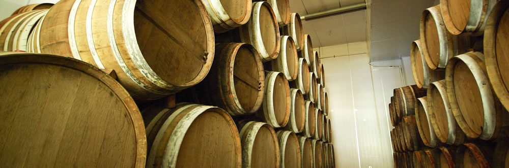 Wine barrels in winery