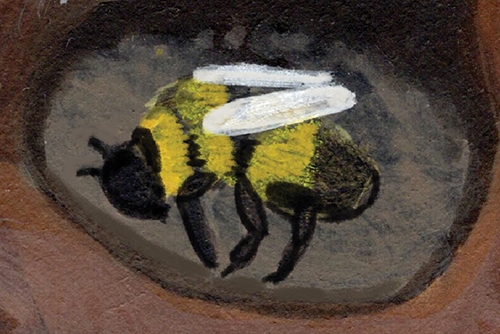 subnivean zone bee drawing