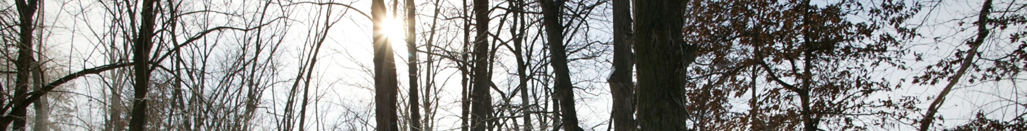 Winter Pages Banner