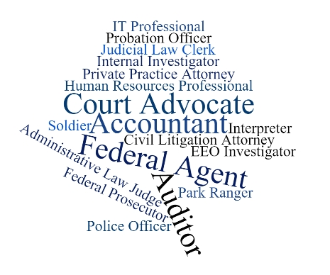 Word Cloud with various positions previously held by OEIG employees, such as accountant, federal agent, and auditor.