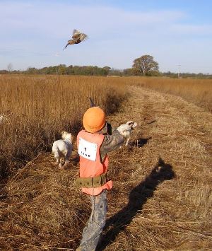 Youth Pheasant Hunting