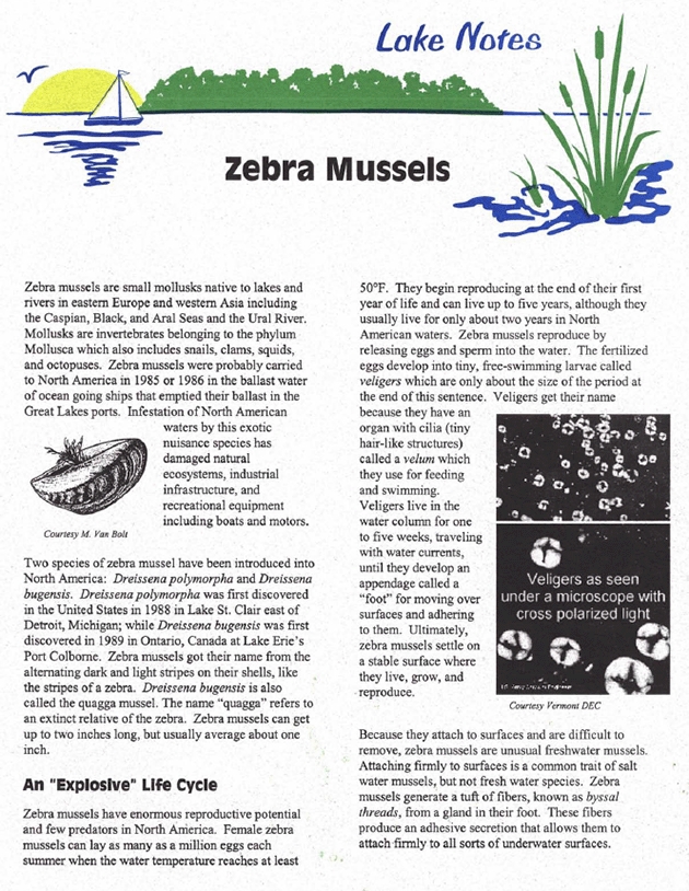 Zebra Mussels Lake Notes.Png