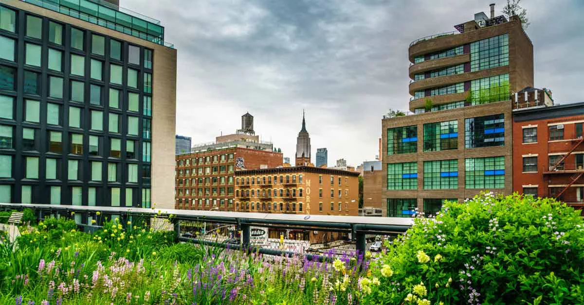 Green roof in a city