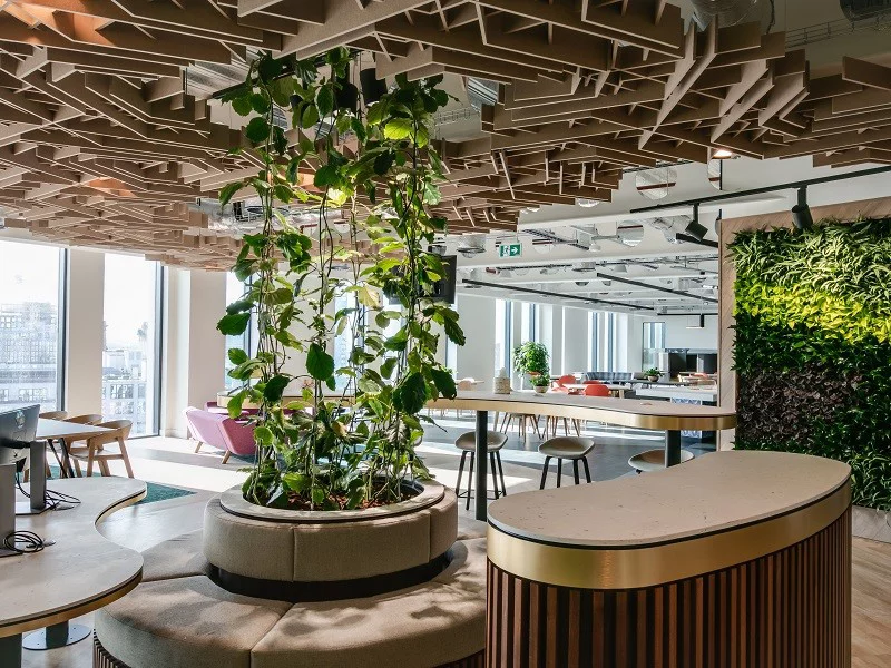 An office space featuring various indoor plants and greenery adorning the walls