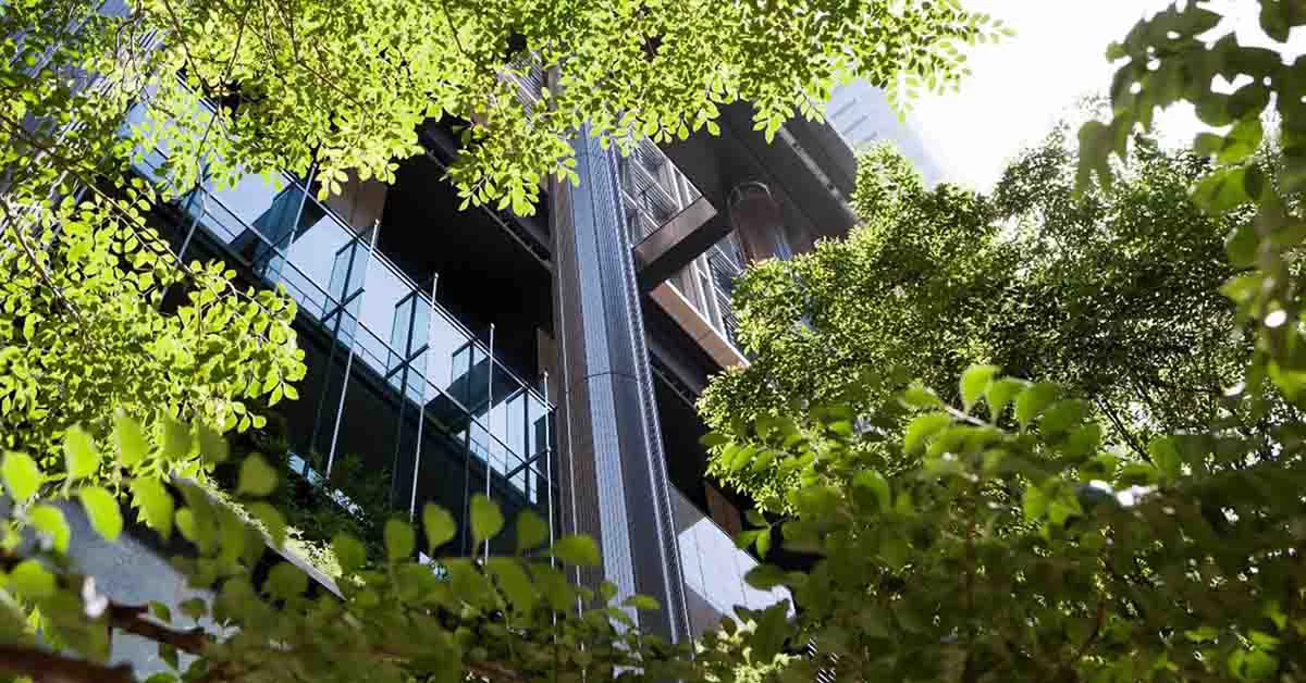 Building around trees.
