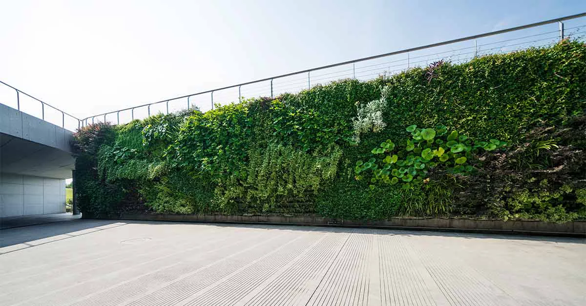 Green Wall