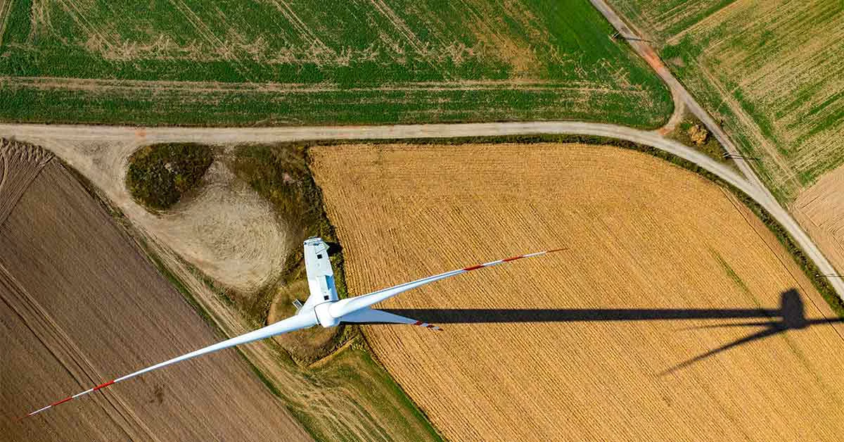 Wind turbine and green land