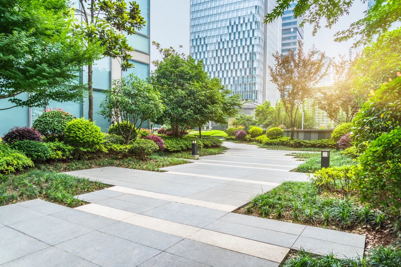 beautiful park at a sunny day, Shanghai, China.