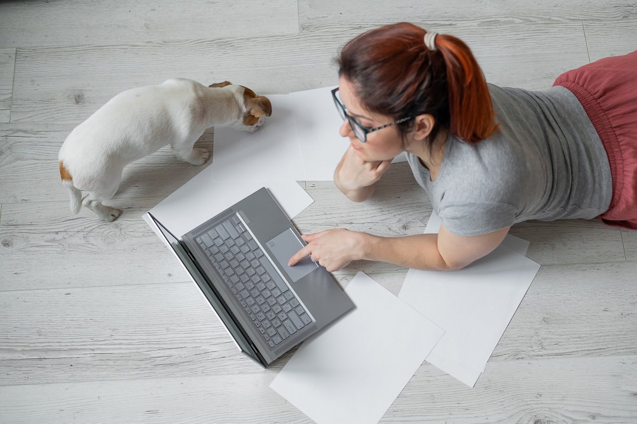 A woman lies on her stomach on the floor and is typing on a laptop. Girl freelancer works remotely from home with a puppy. Jack Russell Terrier next to the owner in a comfortable position
