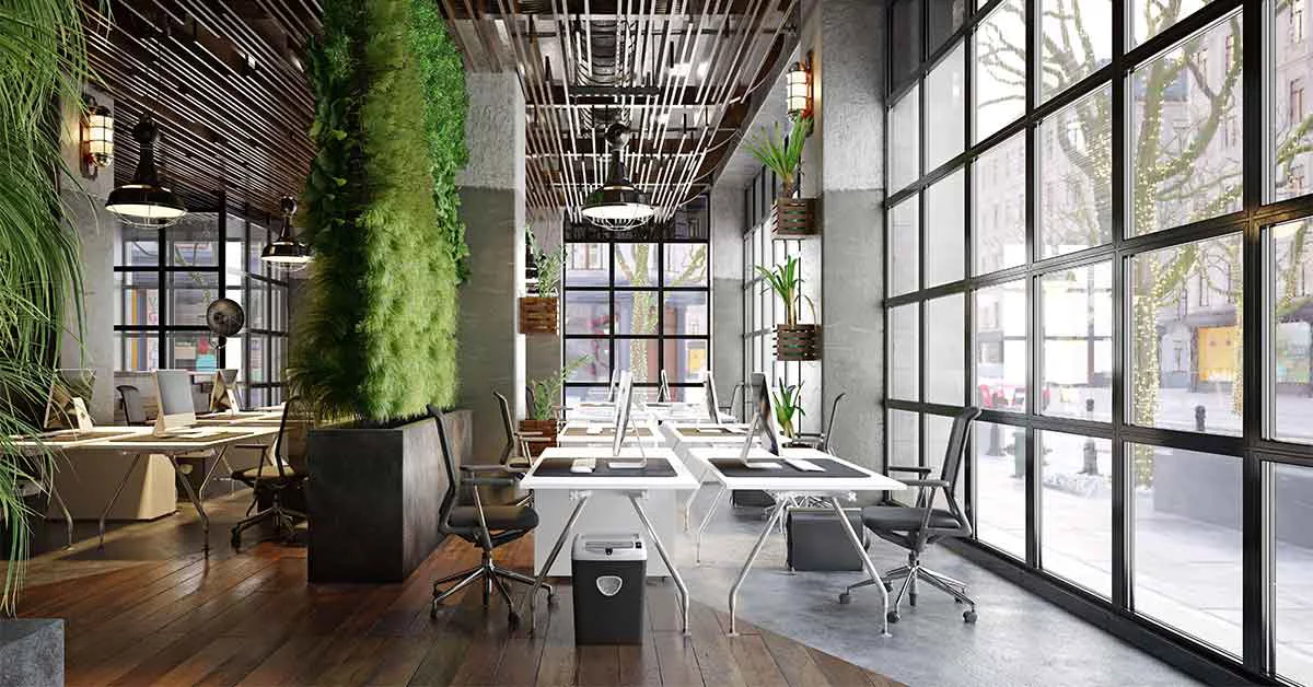 An office featuring a large green wall and polished wooden floors.