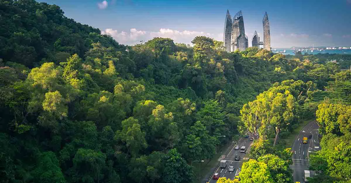 Opportunities for including biodiversity across the real estate life cycle
