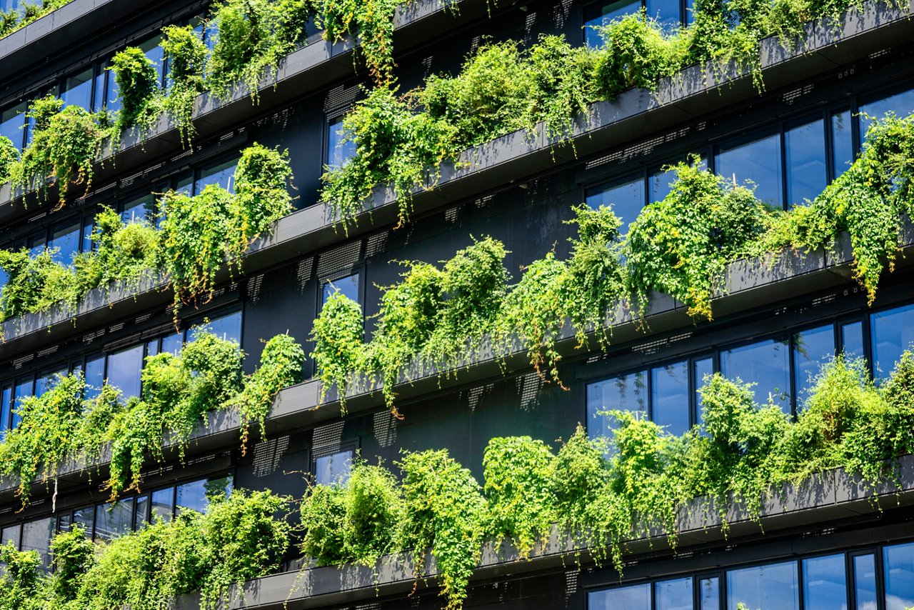 Lush plants at office building
