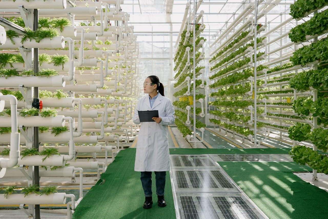 Scientists is working in vegetable greenhouses