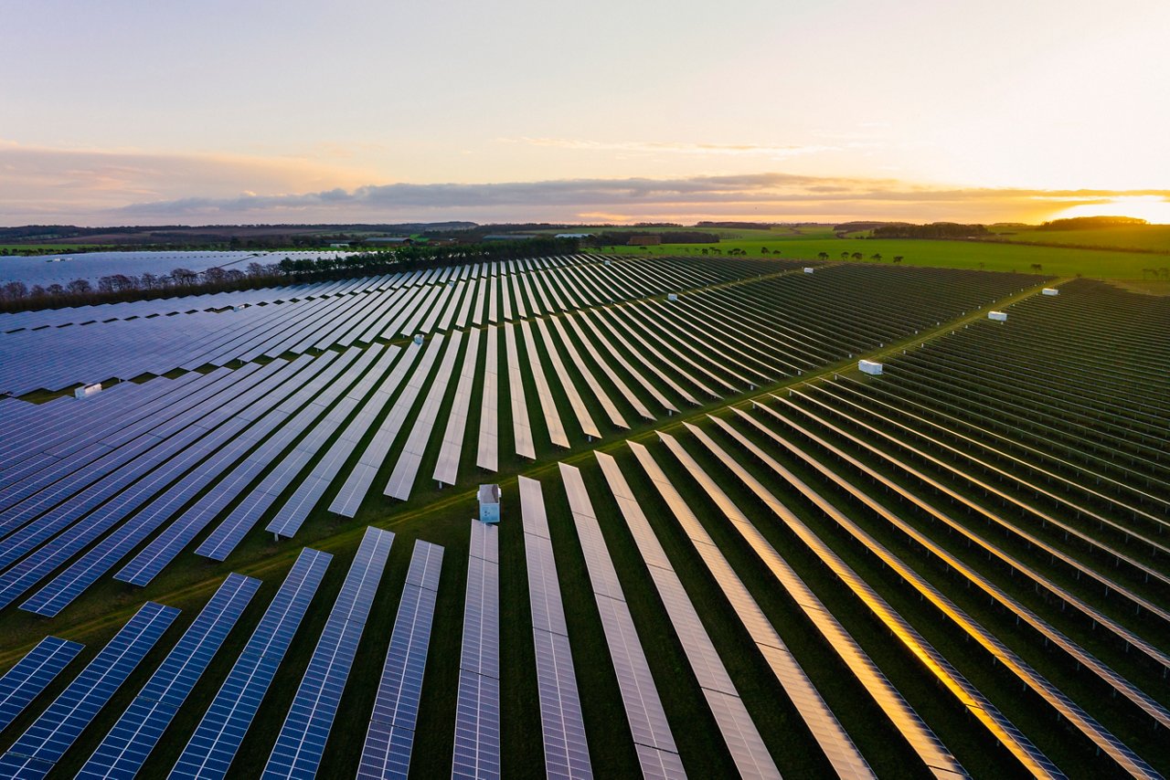 Large solar panel farm with rows of photovoltaic panels stretching across open landscape at sunset.