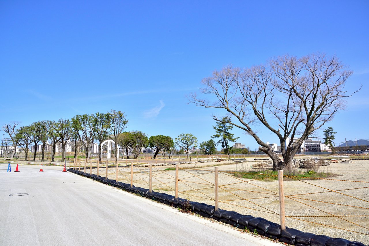 木製の安全柵、葉のない木々、遠くの建物が見える澄んだ青い空のある、何もない開発現場。