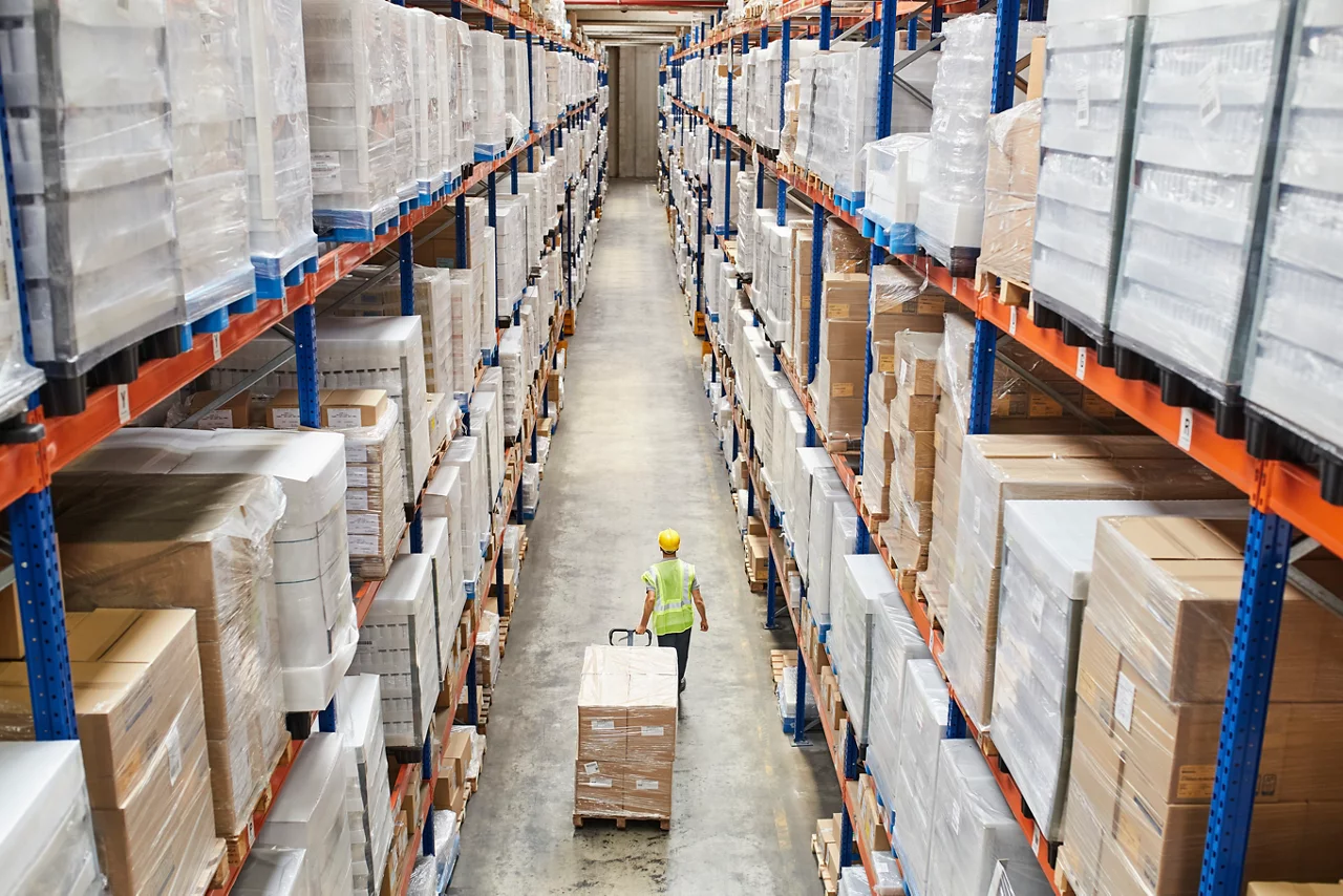 Rear view of male worker pulling cardboard boxes. 