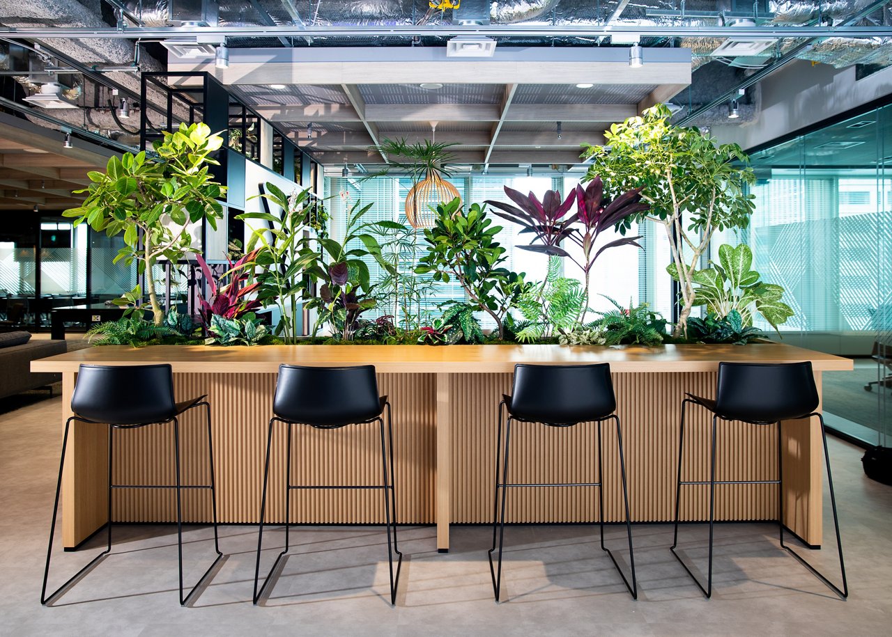 屋内緑化が施されたサステナブルなオフィス