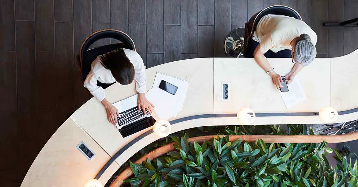 Two colleagues working intently on laptops in a contemporary office setting.