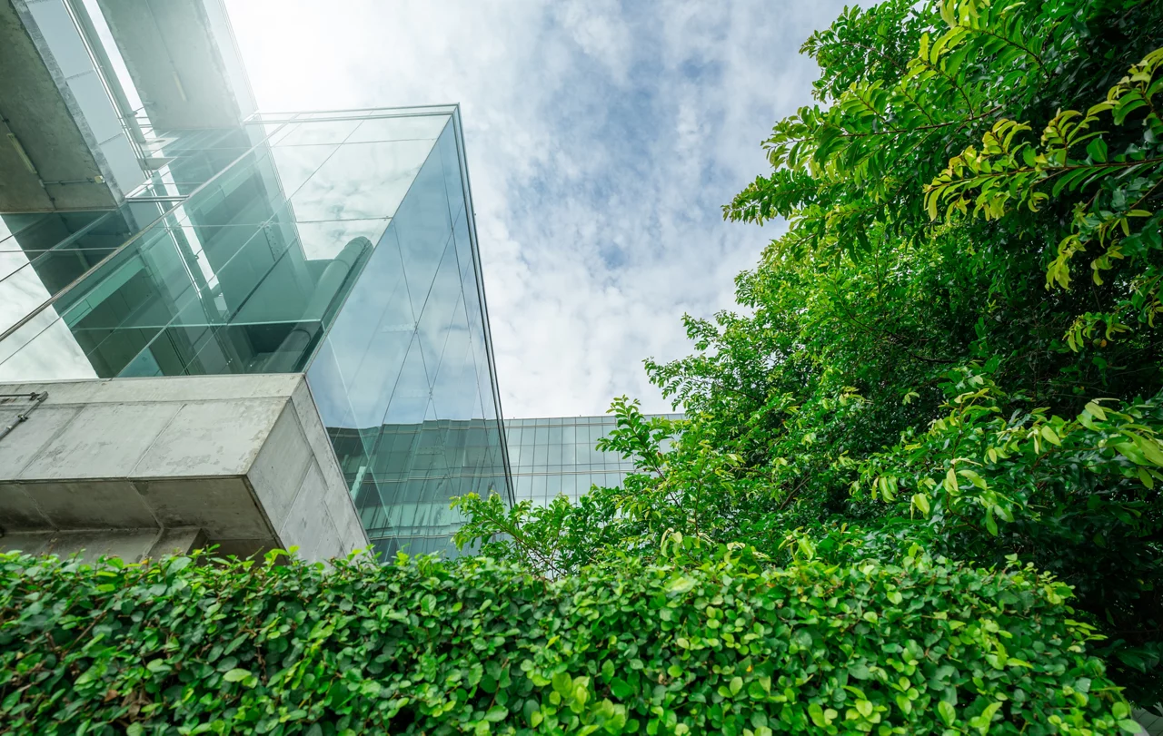 office with green environment