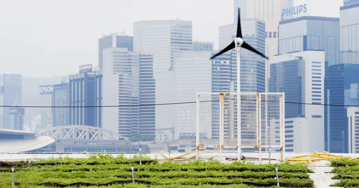 windmill and building