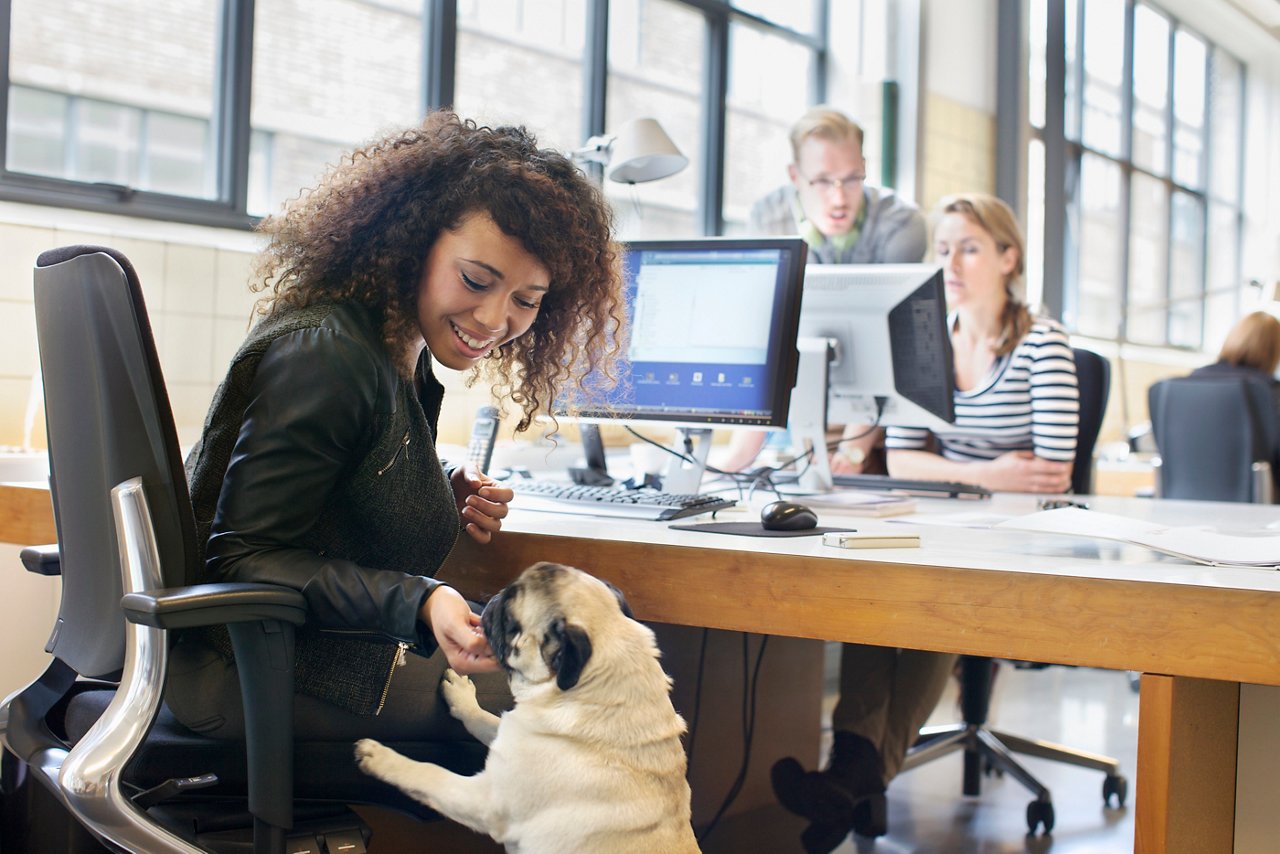 Young woman petting dog at office desk