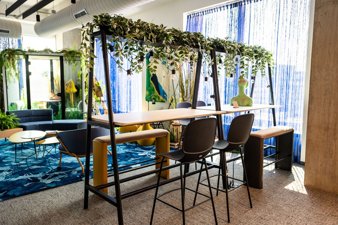 room with a seating and good plants