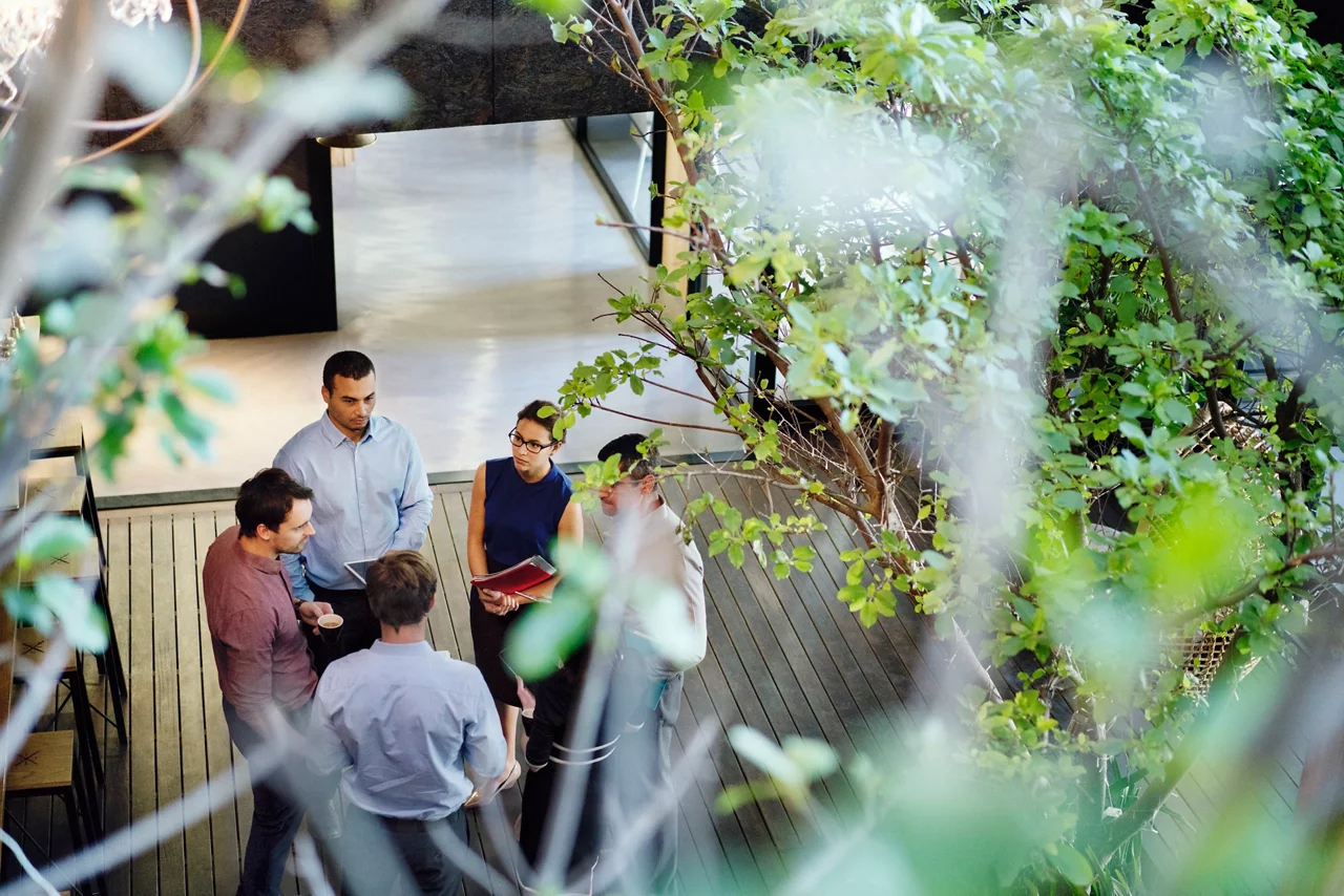 Team meeting in an office