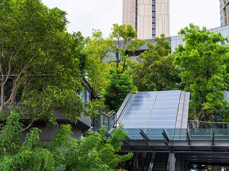 A building featuring a green roof and a set of stairs leading to the entrance.