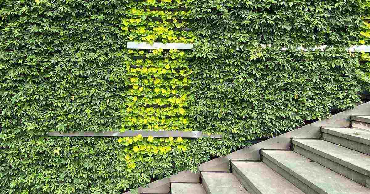 Green plants view alongside the stairs