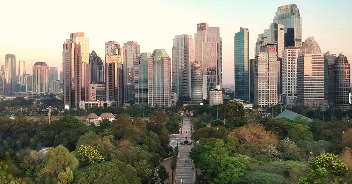 Aerial view of a City
