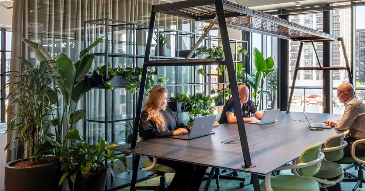 people working collaboratively