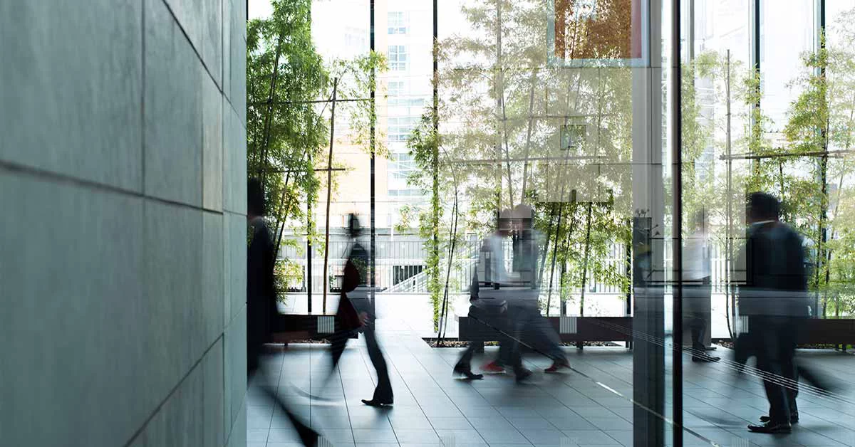Business Firm Interior with trees