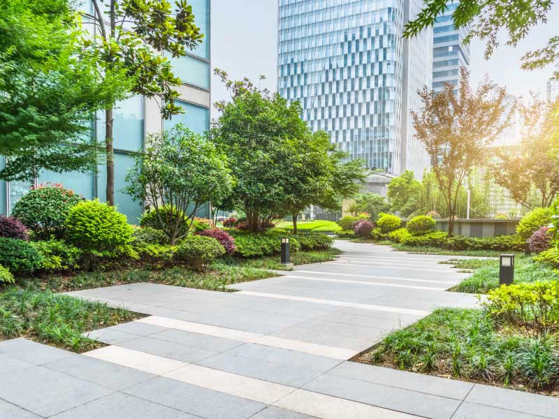 Building Backyard