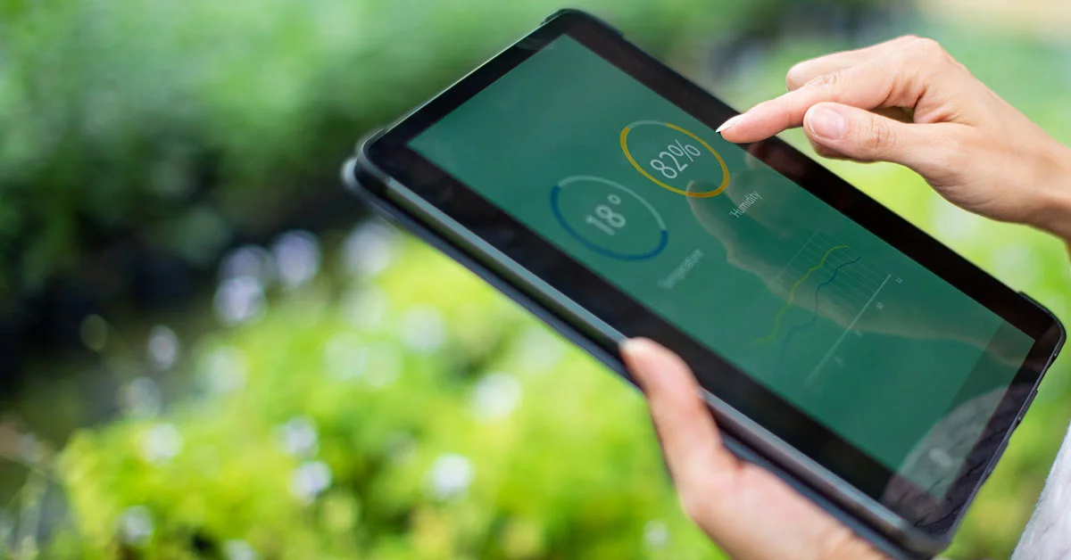 A person working on a tablet