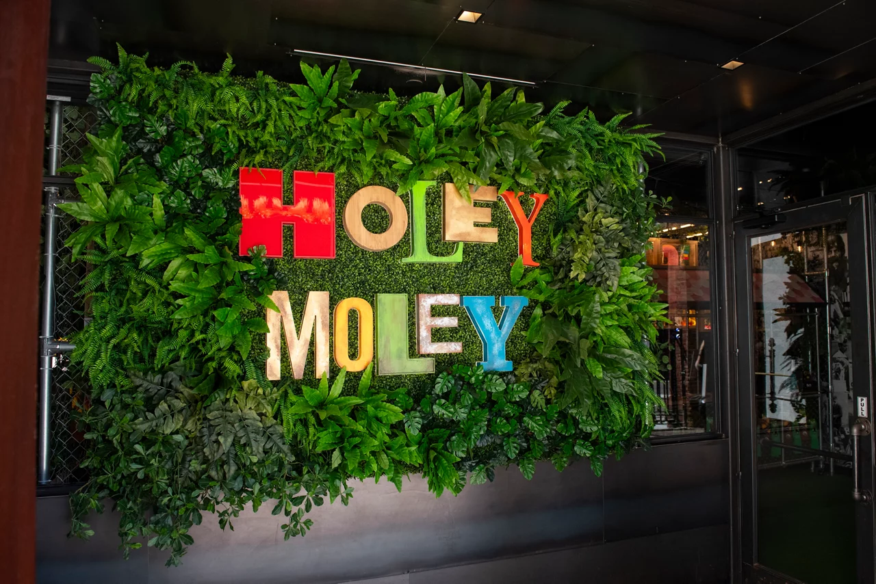 The entrance to Funlab's Holey Moley, featuring a vibrant sign with colorful letters on a lush green wall.