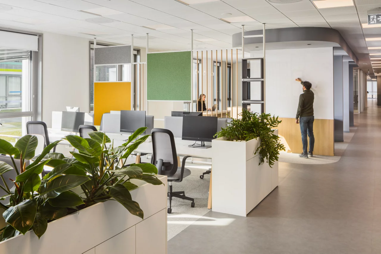 Modern  office space, furniture and greenery